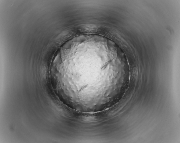 X0000115060651200911091447