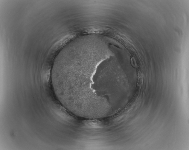 X0000115060652200911091447
