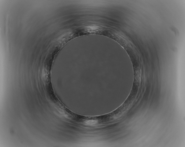 X0000115060653200911091447