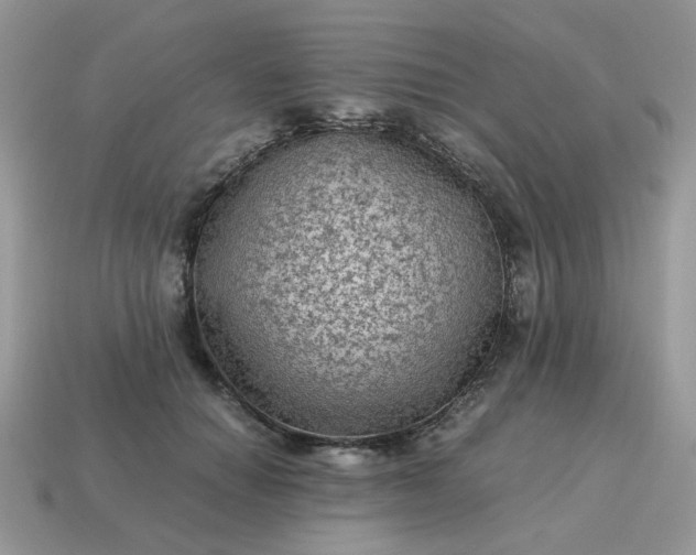 X0000115060654200911091447