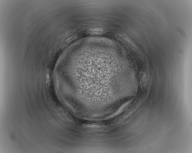 X0000115060655200911091447