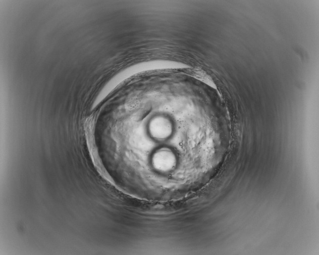 X0000115060657200911091447