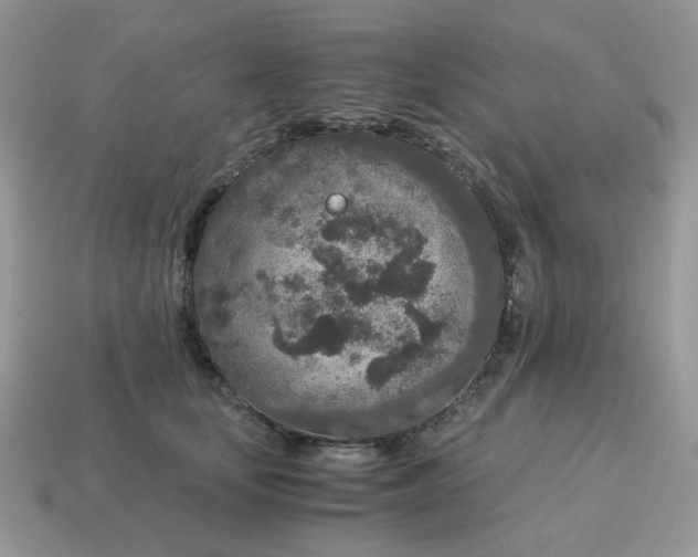 X0000115060659200911091447