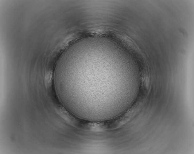 X0000115060660200911091447
