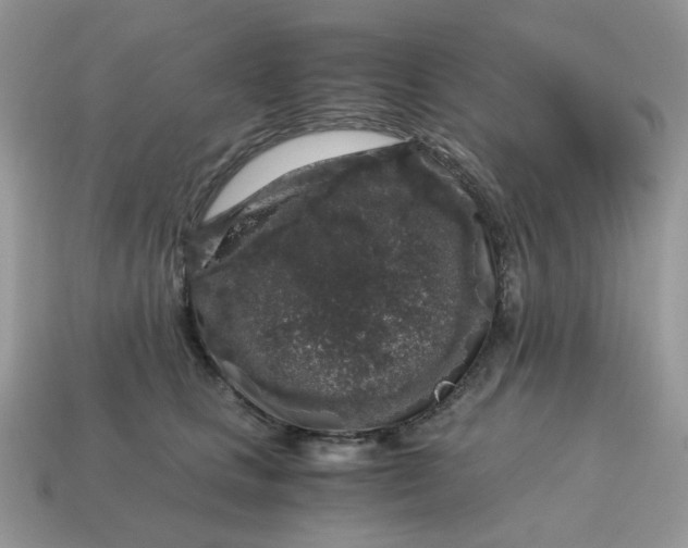 X0000115060661200911091447