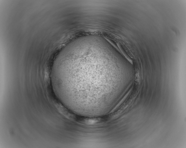X0000115060662200911091447