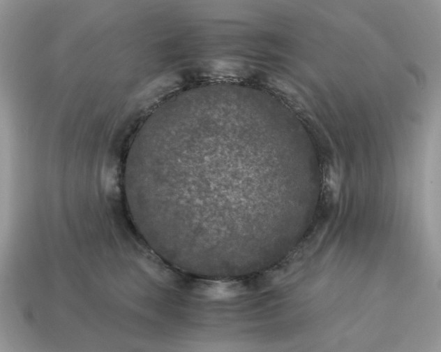 X0000115060663200911091447