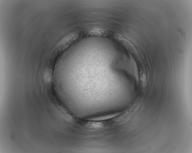 X0000115060665200911091447