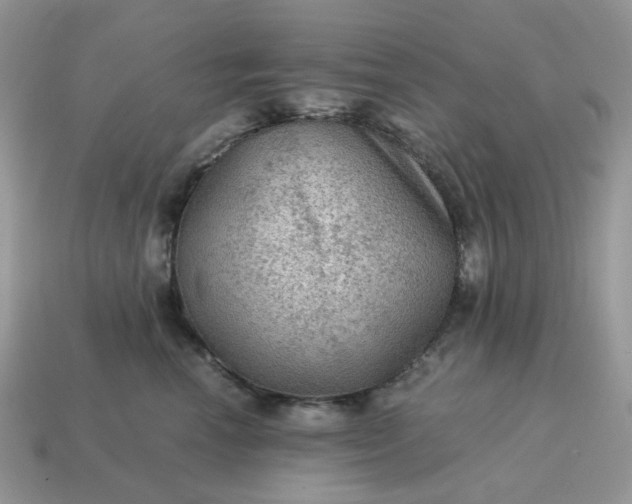 X0000115060666200911091447
