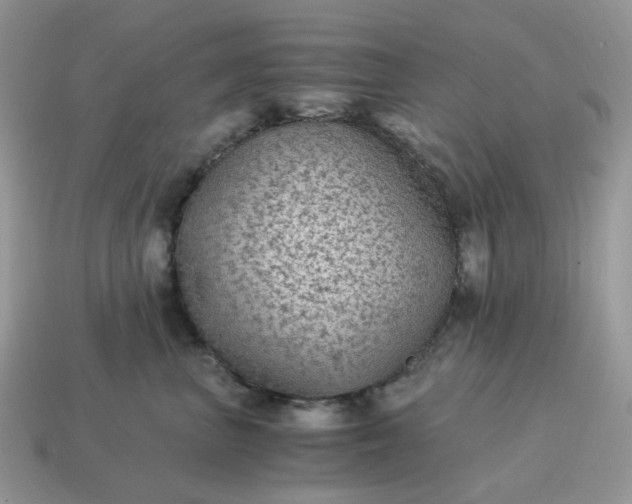 X0000115060667200911091447