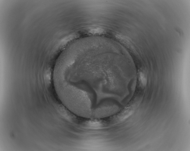 X0000115060668200911091447