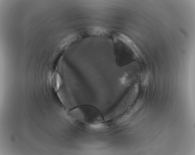 X0000115060669200911091447