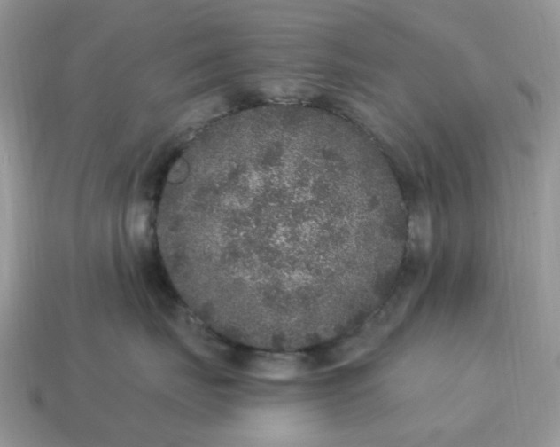 X0000115060671200911091447