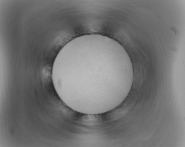 X0000115060672200911091447