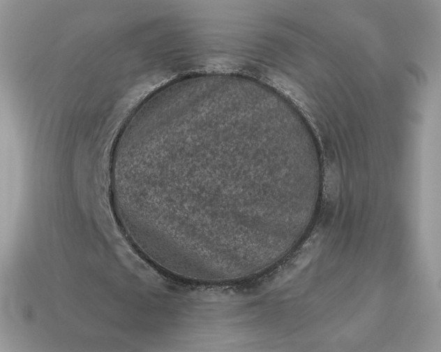 X0000115060673200911091447