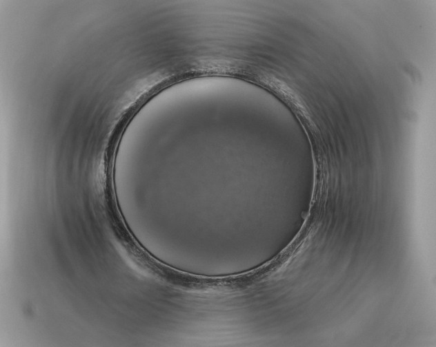 X0000115060674200911091447
