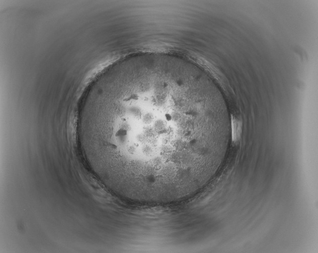 X0000115060675200911091447