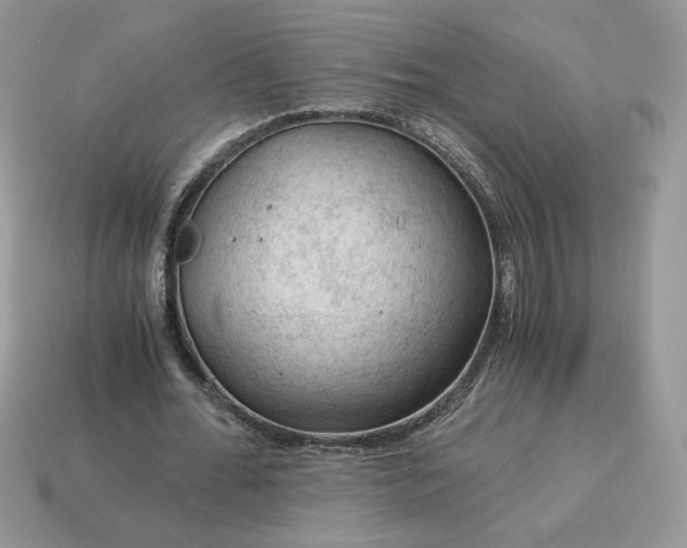 X0000115060676200911091447