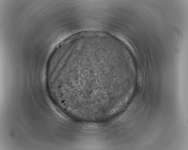 X0000115060677200911091447