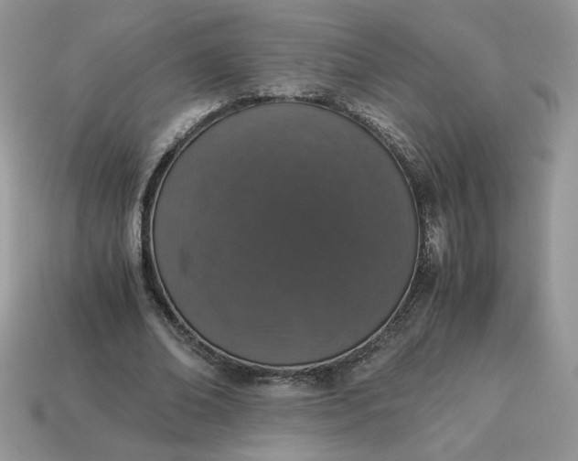X0000115060678200911091447
