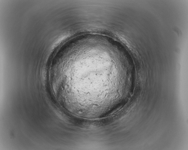 X0000115060679200911091447