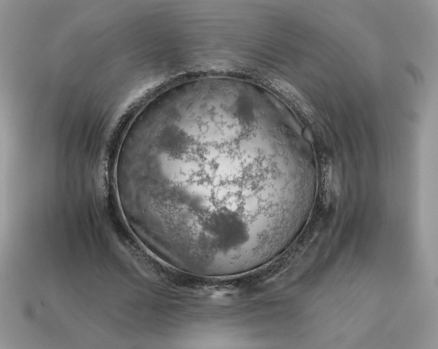 X0000115060680200911091447