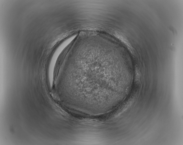 X0000115060681200911091447