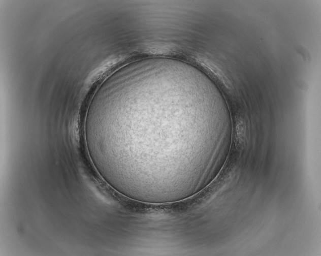 X0000115060682200911091447