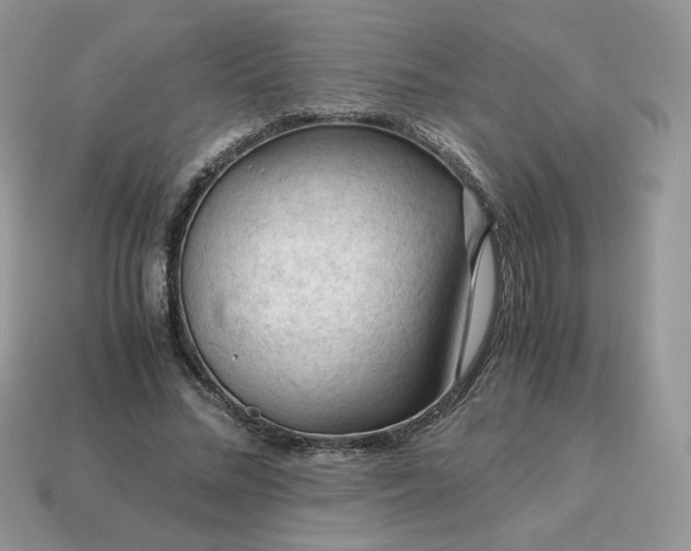 X0000115060684200911091447