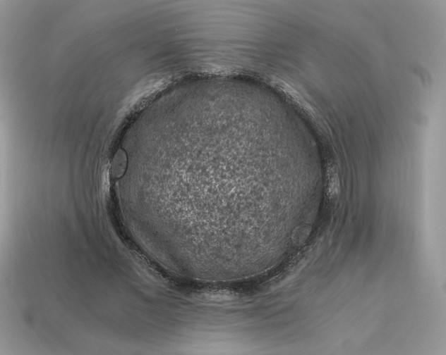 X0000115060685200911091447