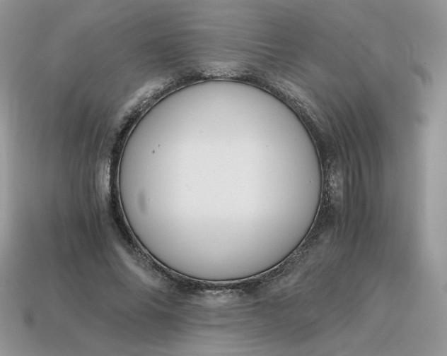 X0000115060686200911091447