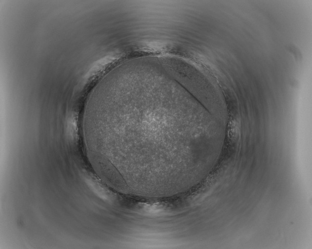 X0000115060688200911091447