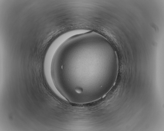 X0000115060689200911091447