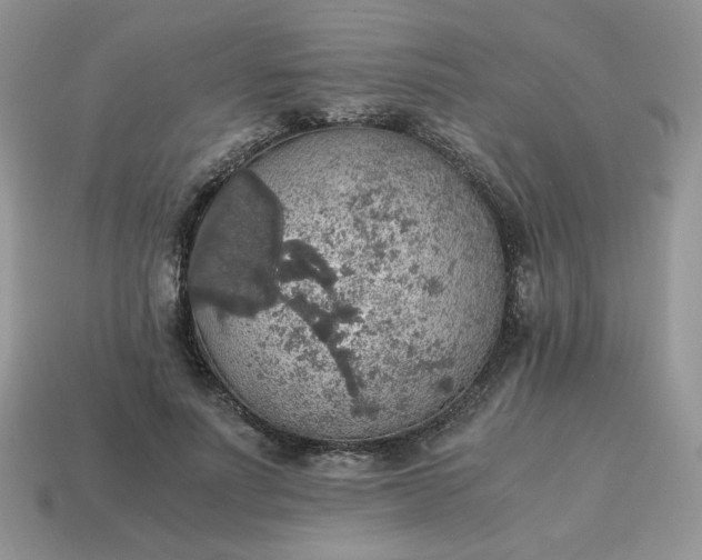 X0000115060691200911091447