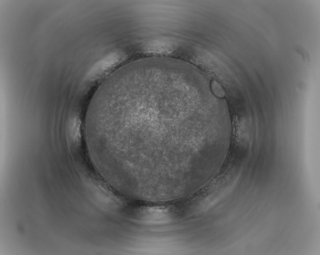 X0000115060692200911091447