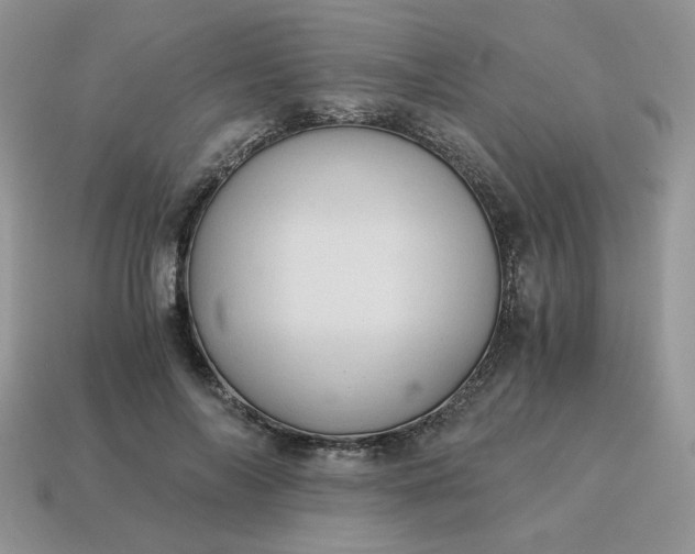 X0000115060694200911091447
