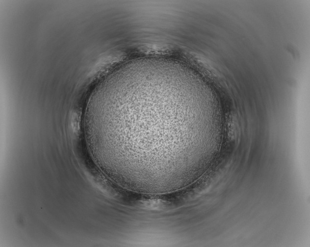 X0000115060695200911091447