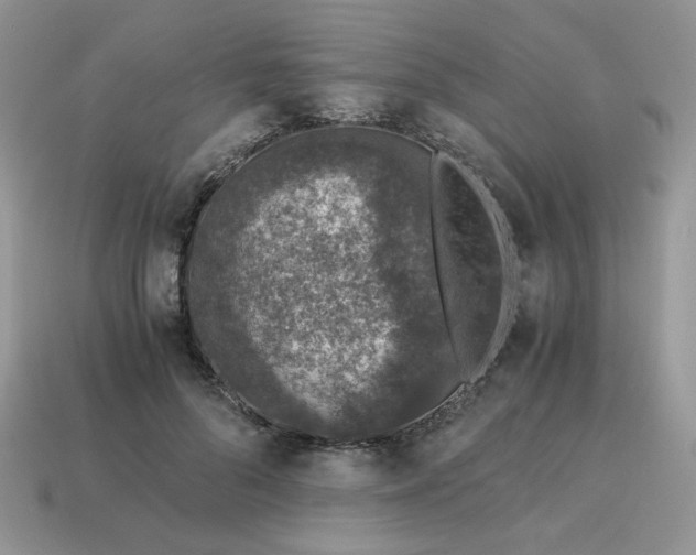 X0000115060696200911091447