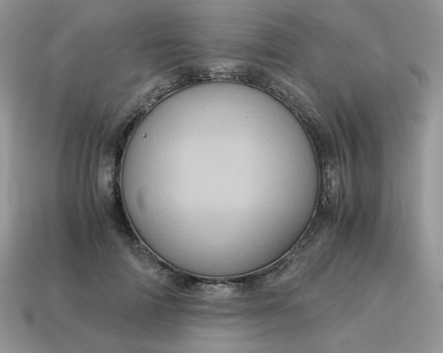 X0000115060698200911091447