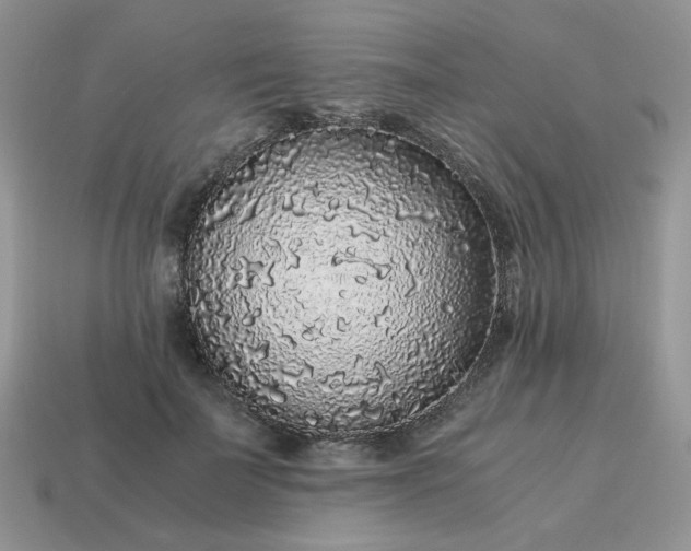X0000115060699200911091446