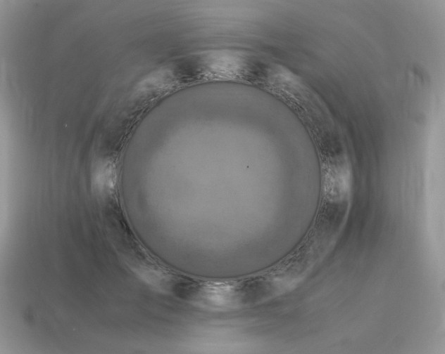 X0000115060701200911091446
