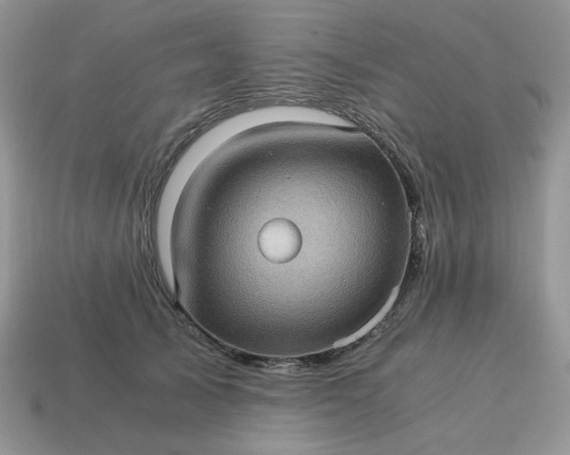 X0000115060705200911091446
