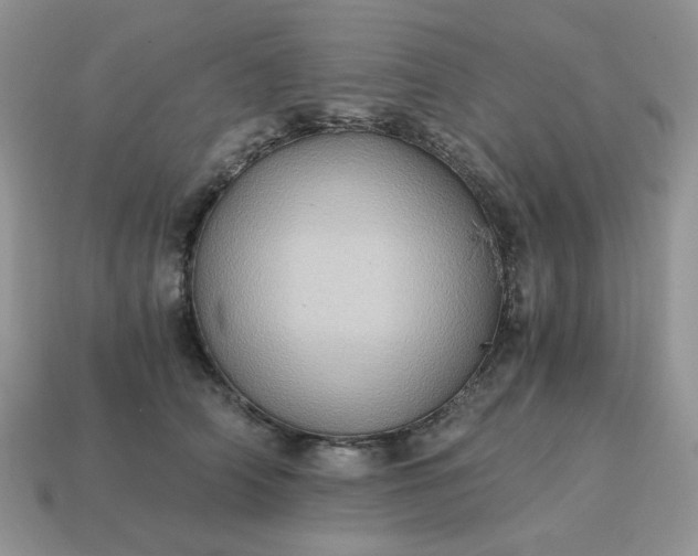 X0000115060706200911091446