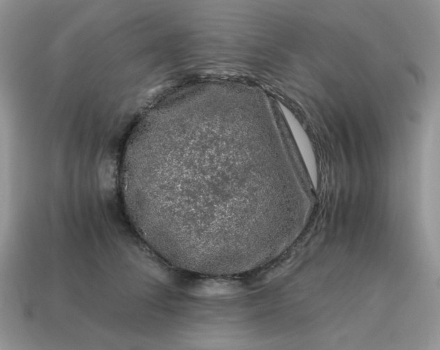 X0000115060708200911091446