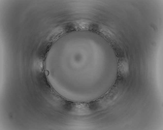 X0000115060709200911091446