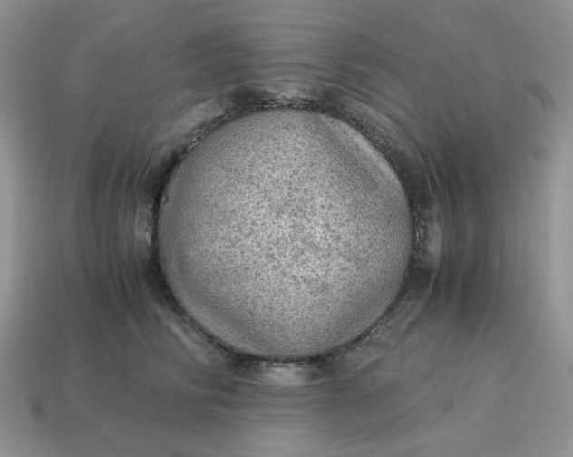 X0000115060710200911091446