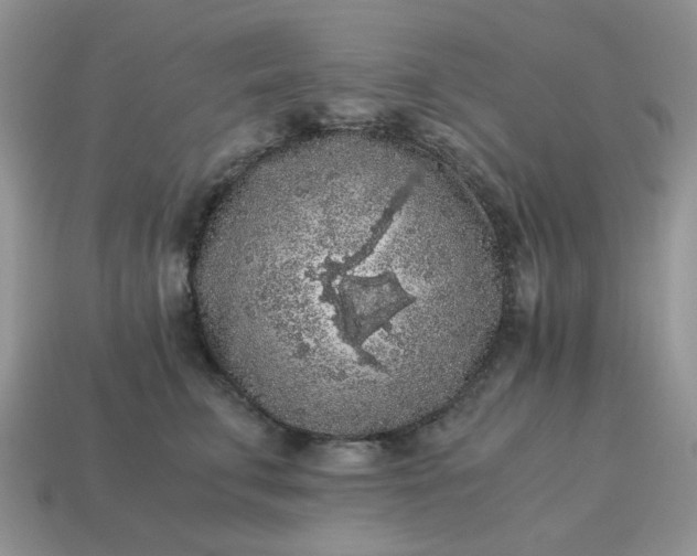 X0000115060711200911091446