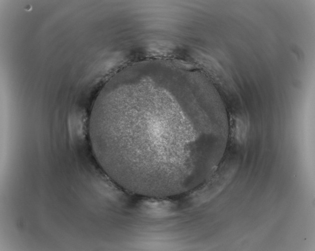 X0000115060712200911091446