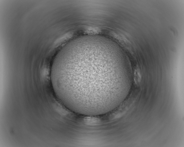 X0000115060714200911091446