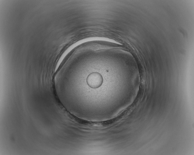 X0000115060715200911091446